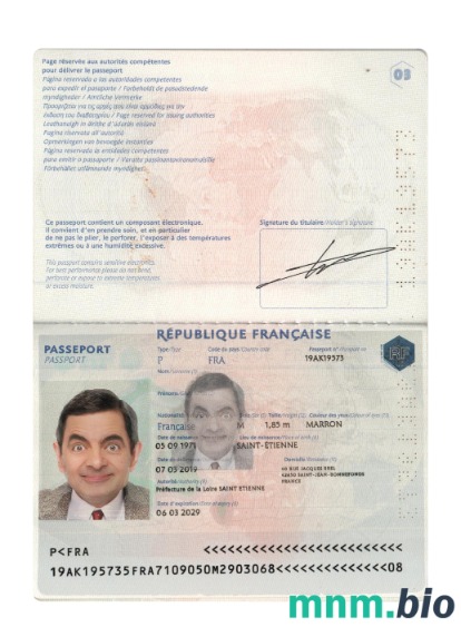 Paszport Francji 2019-obecnie, szablon w formacie PSD